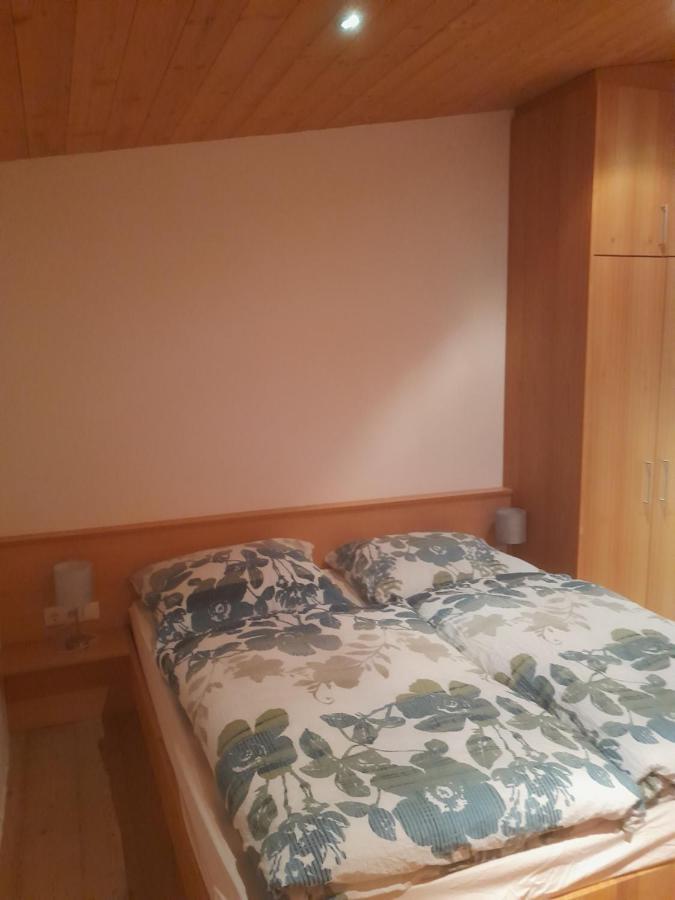 Haus Hotz Apart Talblick Гринс Экстерьер фото